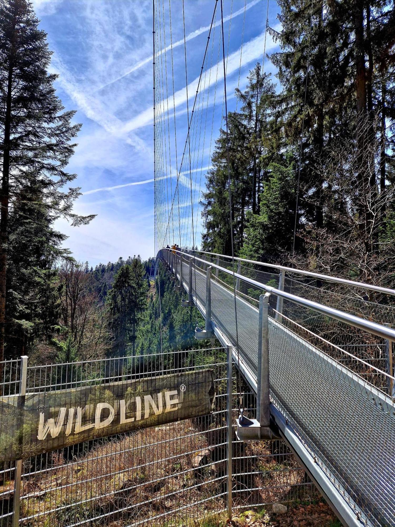 Aparthotel Schwarzwald Panorama Bad Wildbad Ngoại thất bức ảnh